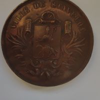Красив медал "Concours Ardenne Agricole 1884 Ville de Stavelot", снимка 7 - Антикварни и старинни предмети - 45573504