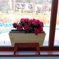 Дървена кутия за цветя., снимка 3 - Стайни растения - 45038833