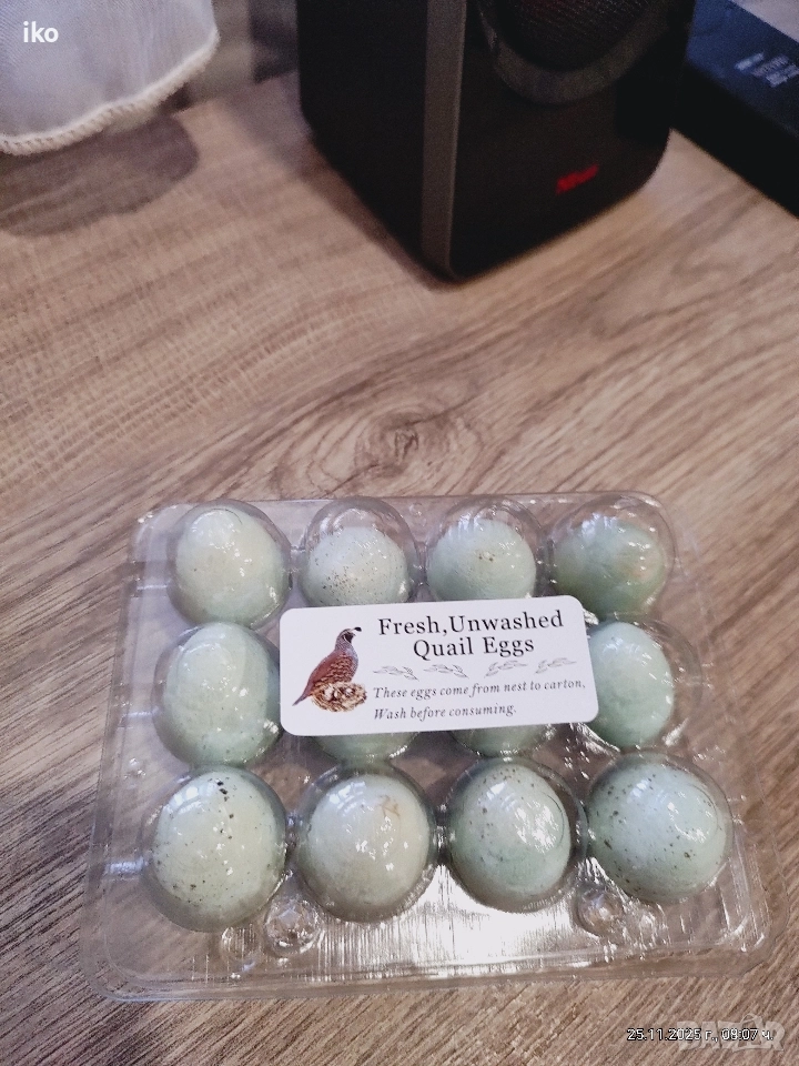 яйца от пъдпъдъци селадона , снимка 1