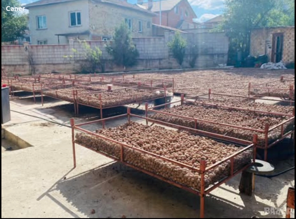 Решитки за сушене на орехи, билки и други, снимка 1