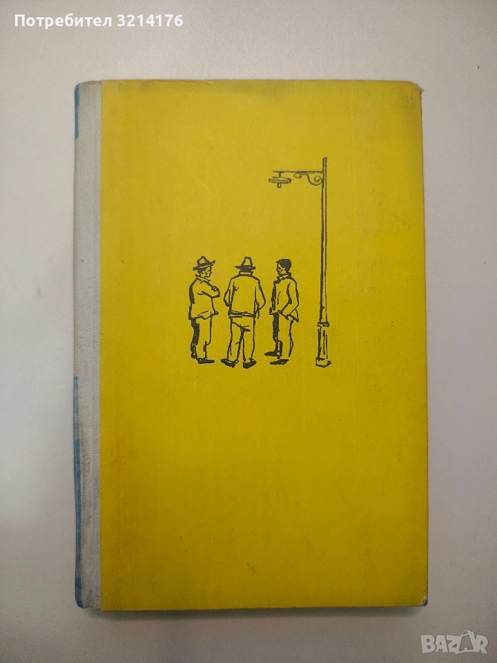 Под аржентинско небе - Тодор Ценков, снимка 1