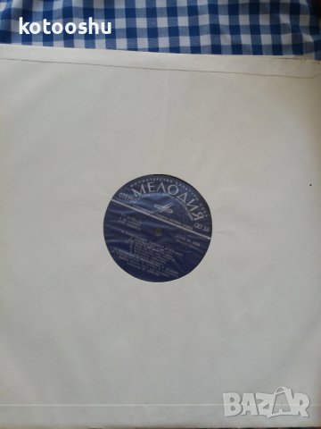 Грамофонна плоча Дама Пика, снимка 2 - Грамофонни плочи - 54262548