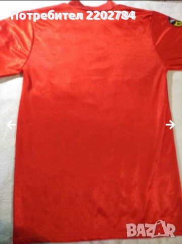 Suzuki тениска и копринен шал, снимка 17 - Тениски - 33727885