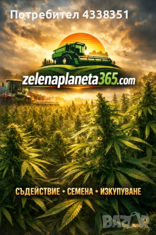 Индустриален Коноп/ Семена, Посредничество, Консултации, снимка 2 - Професионални - 53291017