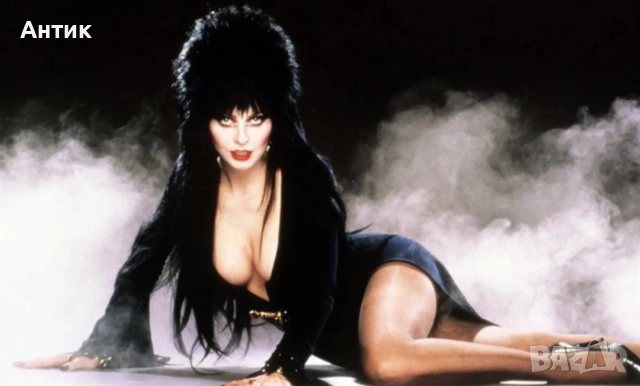 Видеокасета VHS Смотаняци / Елвира Повелителката на Мрака , снимка 7 - Други жанрове - 53710864