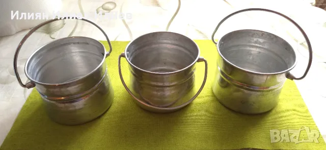 Цветя стайни, снимка 3 - Градински цветя и растения - 49739547