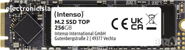 SSD диск Intenso Top, 256GB, SATA III, M.2. 2280, снимка 5 - Твърди дискове - 51782067