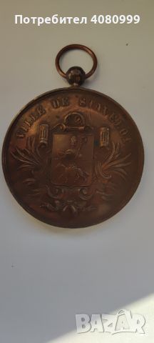 Красив медал "Concours Ardenne Agricole 1884 Ville de Stavelot", снимка 7 - Антикварни и старинни предмети - 45573504