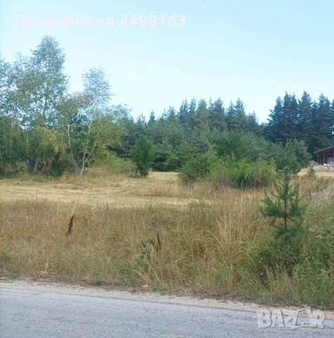 Парцел град Батак  местност Друма , снимка 4 - Земеделска земя - 51239759