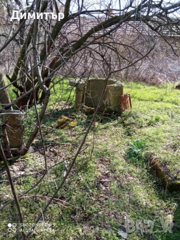 Парцел със стара постройка в с. Оряхово, общ. Любимец, снимка 11 - Парцели - 52052897