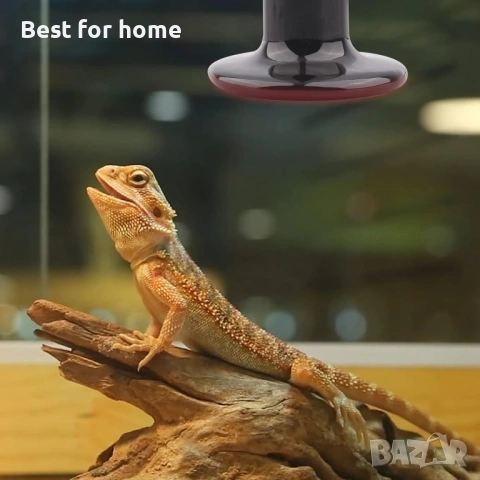 AIICIOO Лампа за терариум Lizards , снимка 2 - Други - 53344273