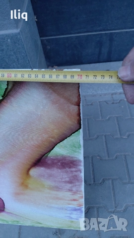 картини 2бр. , снимка 4 - Други стоки за дома - 53918657