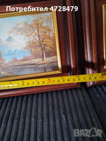 Картини маслени с красиви рамки и подпис на художника., снимка 6 - Декорация за дома - 53704932
