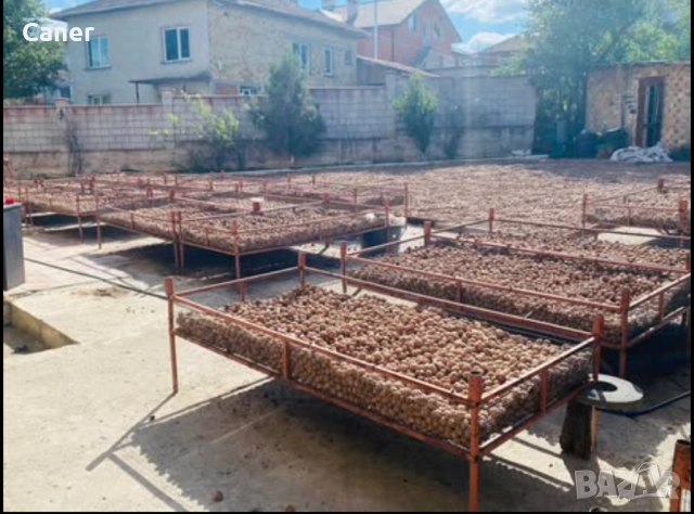 Решитки за сушене на орехи, билки и други