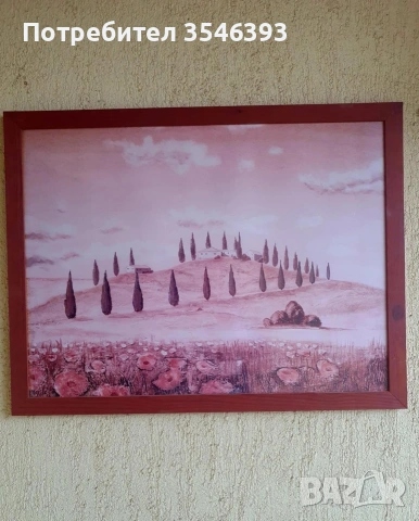 Красиви картини за дома и офиса 