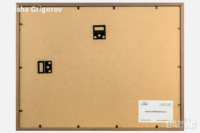 Фотокартина с елен лопатар, снимка 3 - Декорация за дома - 53961057