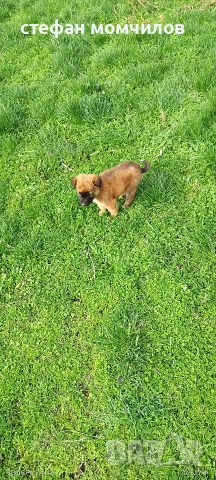 подарявам , снимка 5 - Други - 52606159