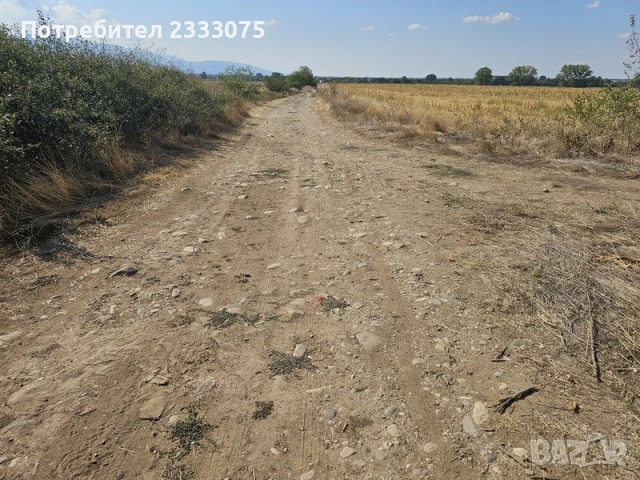 Продавам 25 дка земя в землището на с. Боянци, обл. Пловдив, снимка 12 - Земеделска земя - 53530308