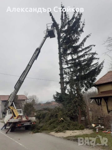 Рязане и кастрене на дървета с автовишка, снимка 3 - Други услуги - 54006380