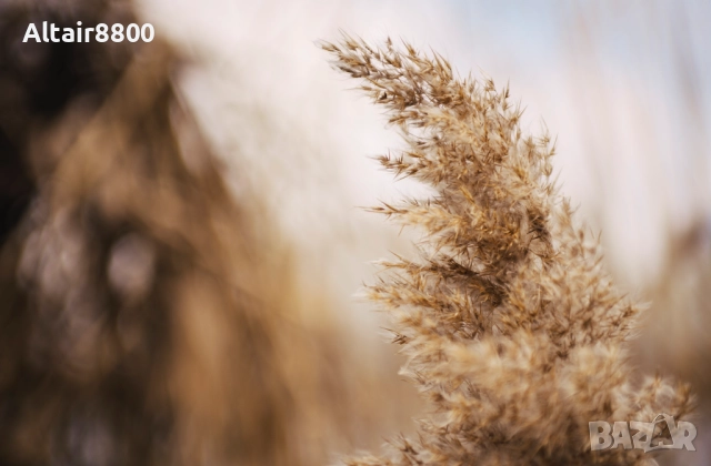 Nikon AF 35-70mm f/2.8D Nikkor обектив Никон #4/4, снимка 12 - Обективи и филтри - 52248148