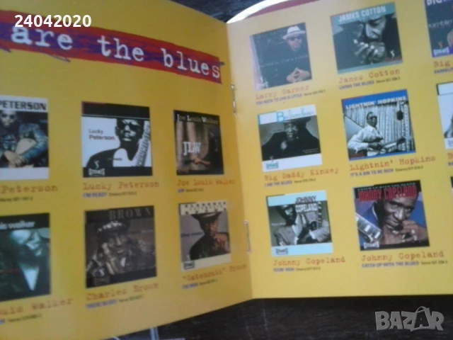 We Are The Blues 1995 compilation оригинален диск, снимка 2 - CD дискове - 51087451