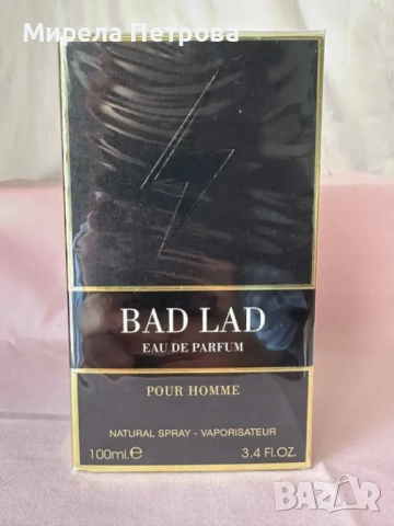 BAD BOY /  Bad Lad Pour Homme EDP 100 ml. мъжки парфюм