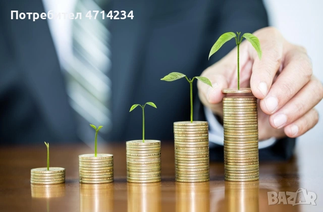 Устойчив доход и дългосрочна стратегия, снимка 2 - Надомна работа - 53590910