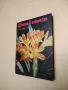 Цветя в стаята - Д. Ф. Юхимчук , снимка 1