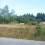 Парцел град Батак  местност Друма , снимка 4