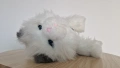 little live pets cat интерактивно плюшено коте, снимка 5
