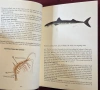 Справочник на рибарските стръв и примамки / Pocket Guide to Bait and Lures, снимка 10