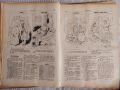 Царска Русия-52 журнала ШУТ,карикатури 1883год.Допълнителен снимков материал, снимка 14