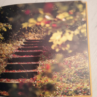оригинална немска книга, с много красиви цветни снимки​, снимка 4 - Енциклопедии, справочници - 44966572