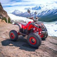 Електрическо ATV Grizzly Sport Pro 2500W, снимка 2 - Мотоциклети и мототехника - 45295796