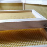 Рамки за пчелни кошери с монтирани восъчни основи, снимка 2 - За пчели - 45208972