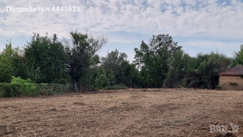 Собственик продава УПИ в с. Ряхово - до р. Дунав, снимка 1