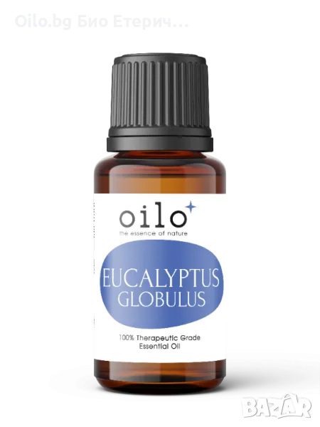 Oilo БИО Етерично Масло от Евкалипт глобулус - Eucalyptus Globulus Oilo 5 мл., снимка 1