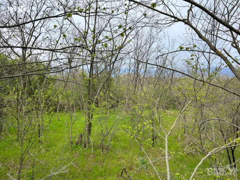 Парцел 907 кв.м. в Казанлък Вилна Зона "Стари Лозя" зад Художествената Гимназия , снимка 1