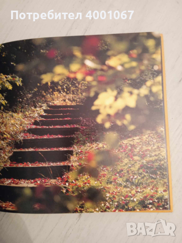 оригинална немска книга, с много красиви цветни снимки​, снимка 4 - Енциклопедии, справочници - 44966572