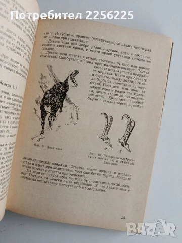 Наръчник на дивечовъда, снимка 4 - Специализирана литература - 52441752