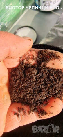 🌸 От тревата до цветята – всичко расте по-добре с БиоТор Чепинци ЕООД!, снимка 5 - Тор и почвени смеси - 52333192