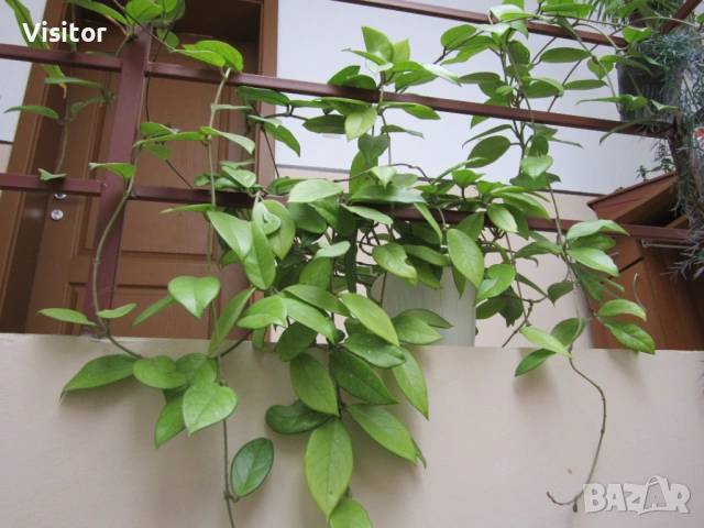 Canon PowerShot A2200   14.1 Mpx, снимка 17 - Фотоапарати - 53938387