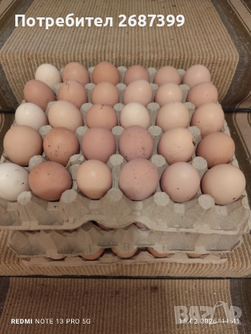 Домашни яйца