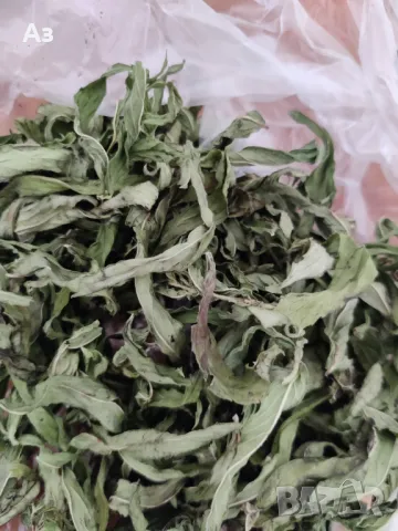 Продавам Сух джоджен (на листа или наронен), реколта 2025 г., снимка 5 - Домашни продукти - 46910995