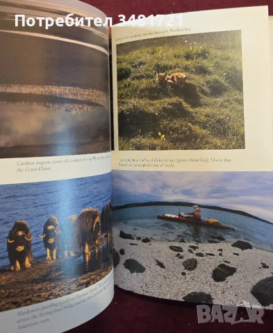 Пътуване през Арктика и културата на ескимосите / Arctic Crossing, снимка 8 - Художествена литература - 54244773