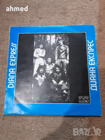 Грамофонни плочи , снимка 2 - Грамофонни плочи - 53572886