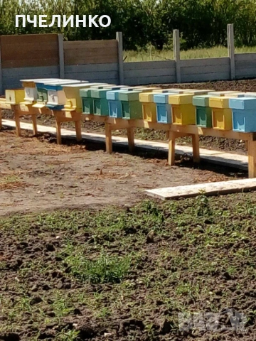 Малки пчелни семейства на 4 рамки
