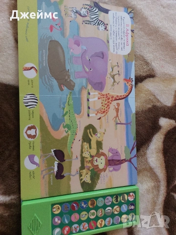 Музикална книжка с 30 реалистични звука на различни животни , снимка 4 - Детски книжки - 54064041