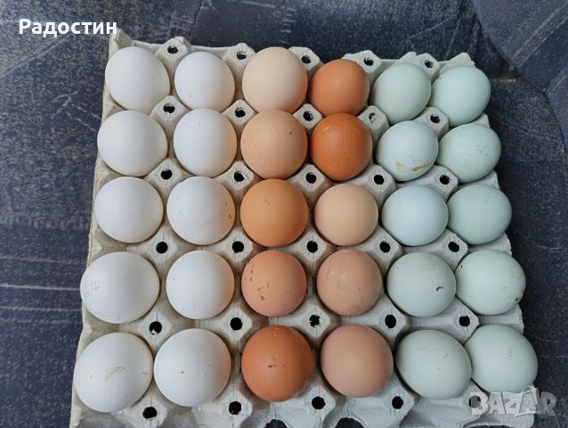 Домашни яйца 