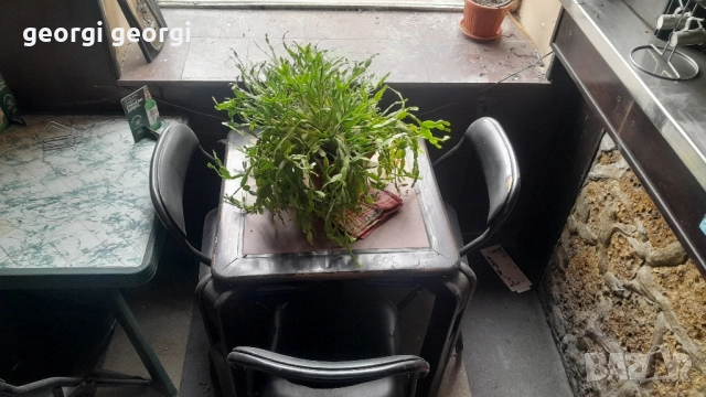 Продавам цялостно оборудване за хранителен магазин., снимка 16 - Оборудване за магазин - 51905603